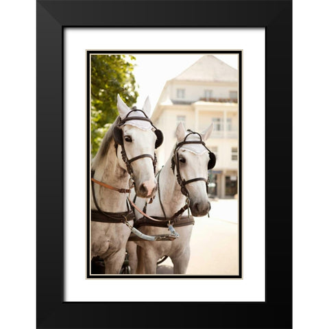 Bridled Horses Black Modern Wood Framed Art Print with Double Matting by Millet, Karyn
