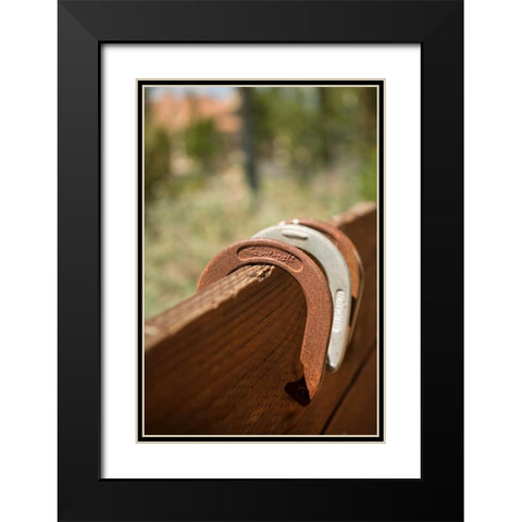 Horse Shoes Black Modern Wood Framed Art Print with Double Matting by Millet, Karyn