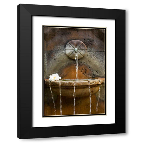 Fountain I Black Modern Wood Framed Art Print with Double Matting by Millet, Karyn