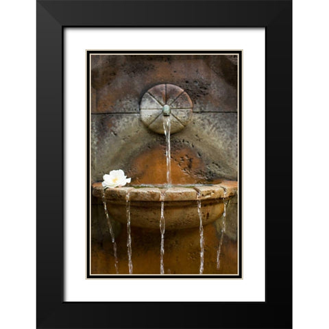 Fountain I Black Modern Wood Framed Art Print with Double Matting by Millet, Karyn