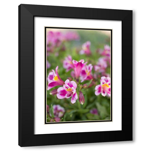 Purple and White I Black Modern Wood Framed Art Print with Double Matting by Millet, Karyn