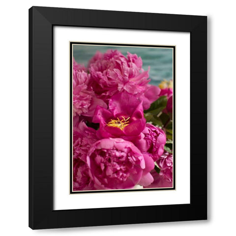 Fuchsia Peonies II Black Modern Wood Framed Art Print with Double Matting by Millet, Karyn