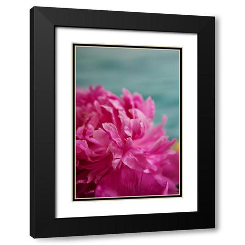Fuchsia Peonies III Black Modern Wood Framed Art Print with Double Matting by Millet, Karyn