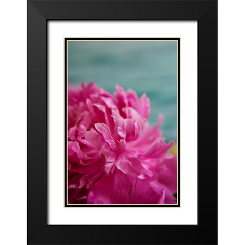 Fuchsia Peonies III Black Modern Wood Framed Art Print with Double Matting by Millet, Karyn
