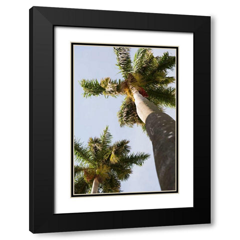 Below the Palms II Black Modern Wood Framed Art Print with Double Matting by Millet, Karyn