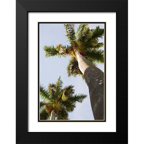 Below the Palms II Black Modern Wood Framed Art Print with Double Matting by Millet, Karyn