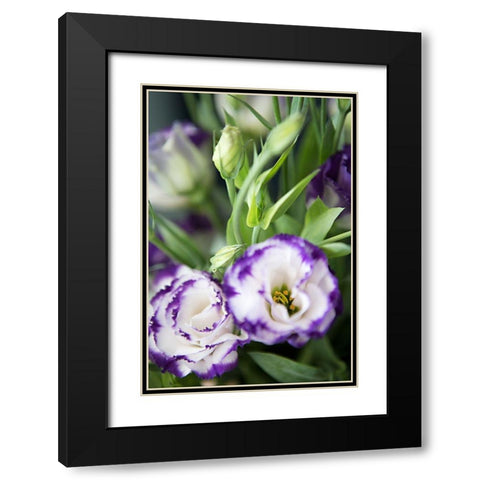 Purple Tipped Floral I Black Modern Wood Framed Art Print with Double Matting by Millet, Karyn