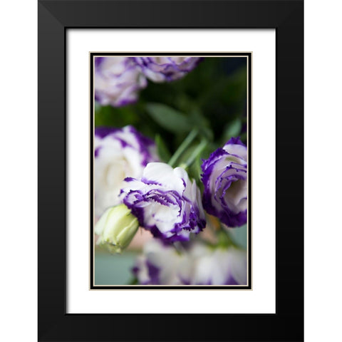Purple Tipped Floral II Black Modern Wood Framed Art Print with Double Matting by Millet, Karyn