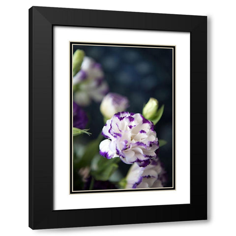 Purple Tipped Floral III Black Modern Wood Framed Art Print with Double Matting by Millet, Karyn