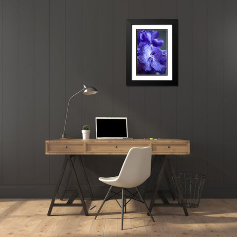 Vibrant Periwinkle Floral I Black Modern Wood Framed Art Print with Double Matting by Millet, Karyn