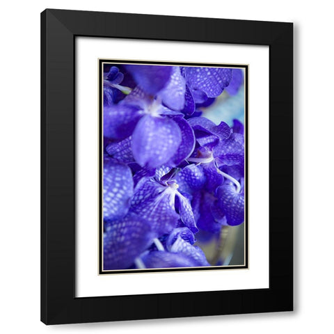 Vibrant Perwinkle Floral II Black Modern Wood Framed Art Print with Double Matting by Millet, Karyn