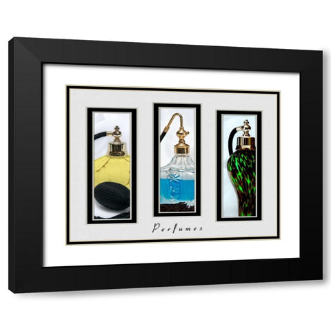 Perfume Triptych III Black Modern Wood Framed Art Print with Double Matting by McNemar, C. Thomas