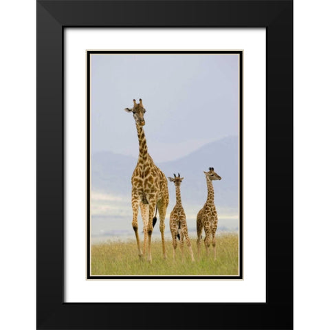 Savannah Strut Black Modern Wood Framed Art Print with Double Matting by Parker, Susann
