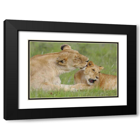 Gratitude Black Modern Wood Framed Art Print with Double Matting by Parker, Susann