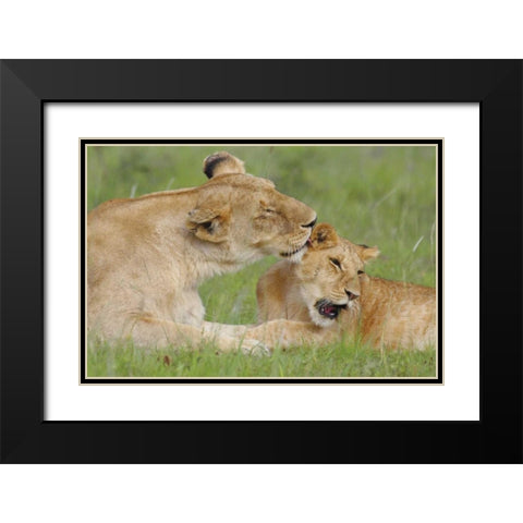 Gratitude Black Modern Wood Framed Art Print with Double Matting by Parker, Susann