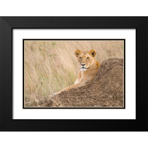 Vantage Point Black Modern Wood Framed Art Print with Double Matting by Parker, Susann