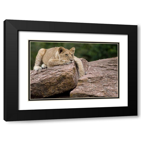 Lounging Black Modern Wood Framed Art Print with Double Matting by Parker, Susann