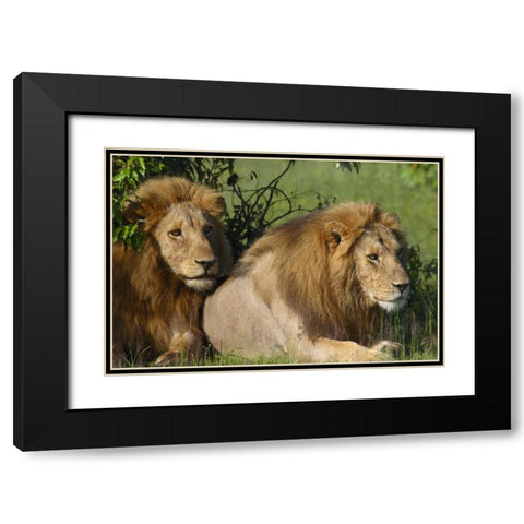 The Duo Black Modern Wood Framed Art Print with Double Matting by Parker, Susann