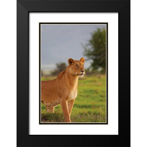 On Guard Black Modern Wood Framed Art Print with Double Matting by Parker, Susann