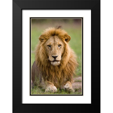 The King Black Modern Wood Framed Art Print with Double Matting by Parker, Susann