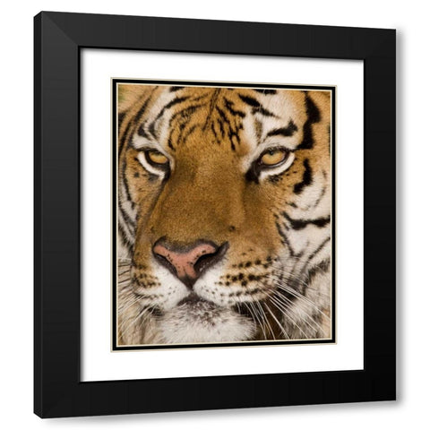 Stunning Black Modern Wood Framed Art Print with Double Matting by Parker, Susann