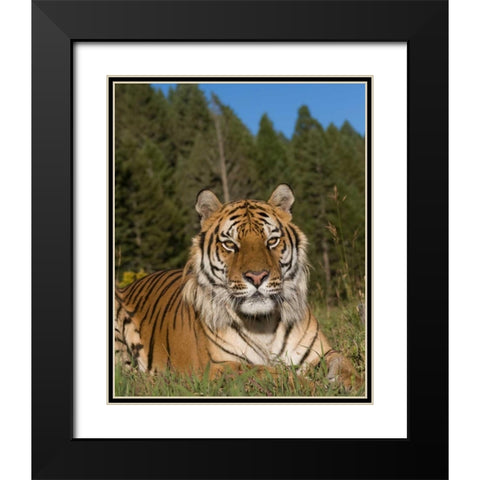 Subtle Beauty Black Modern Wood Framed Art Print with Double Matting by Parker, Susann