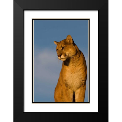 The Perfect View Black Modern Wood Framed Art Print with Double Matting by Parker, Susann