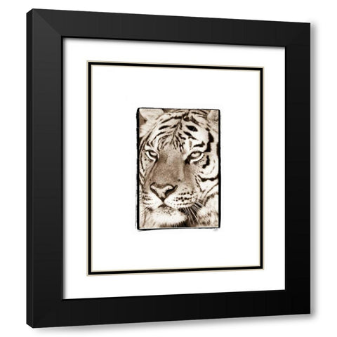 True II Black Modern Wood Framed Art Print with Double Matting by Parker, Susann