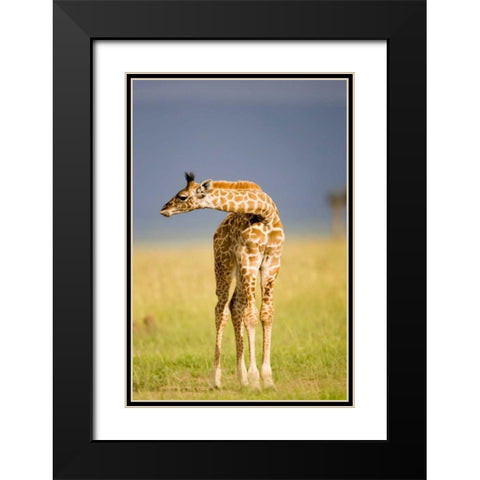 This Young One Black Modern Wood Framed Art Print with Double Matting by Parker, Susann