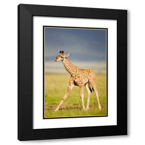 First Steps Black Modern Wood Framed Art Print with Double Matting by Parker, Susann