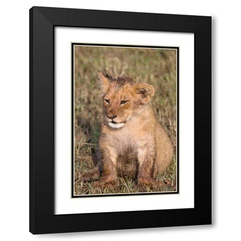 New Beginnings Black Modern Wood Framed Art Print with Double Matting by Parker, Susann