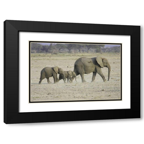 Memory Lane Black Modern Wood Framed Art Print with Double Matting by Parker, Susann