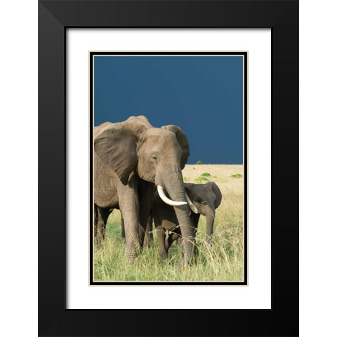 Protection Black Modern Wood Framed Art Print with Double Matting by Parker, Susann