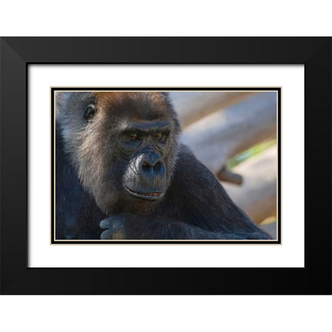 The Thinker Black Modern Wood Framed Art Print with Double Matting by Parker, Susann