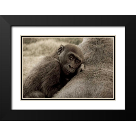 Security Black Modern Wood Framed Art Print with Double Matting by Parker, Susann