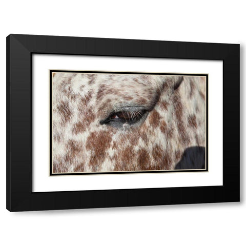 Horse Up Close I Black Modern Wood Framed Art Print with Double Matting by Peterson, Lee