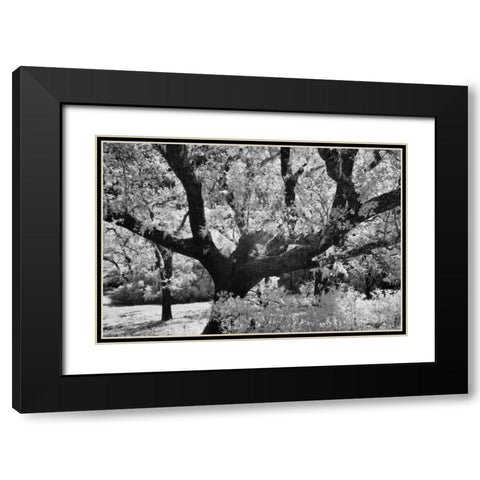 Cayucos I Black Modern Wood Framed Art Print with Double Matting by Peterson, Lee