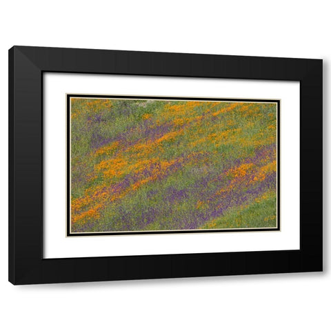 Wildflower Hills III Black Modern Wood Framed Art Print with Double Matting by Peterson, Lee