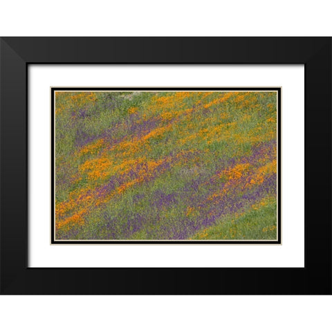 Wildflower Hills III Black Modern Wood Framed Art Print with Double Matting by Peterson, Lee