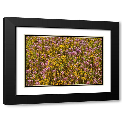 Yellow and Purple Black Modern Wood Framed Art Print with Double Matting by Peterson, Lee