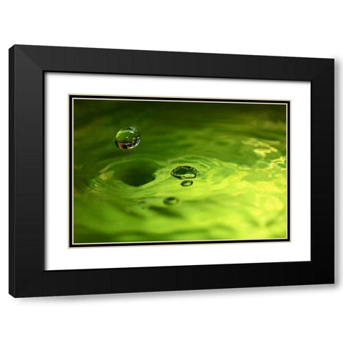 Lemon Lime Drop I Black Modern Wood Framed Art Print with Double Matting by Putman, Tammy