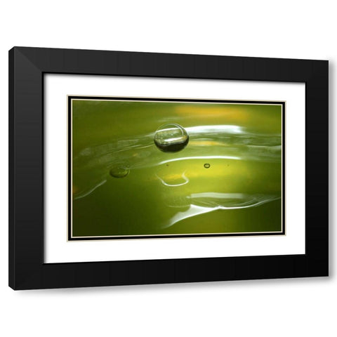 Lemon Lime Drop II Black Modern Wood Framed Art Print with Double Matting by Putman, Tammy