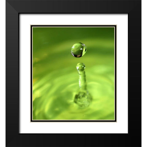 Lemon Lime Drop III Black Modern Wood Framed Art Print with Double Matting by Putman, Tammy