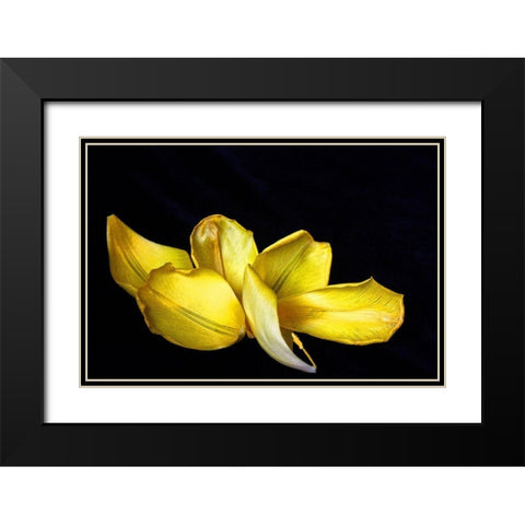 Pieces Black Modern Wood Framed Art Print with Double Matting by Putman, Tammy
