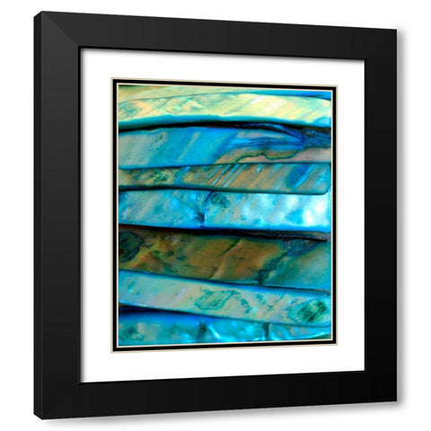 Shell Be Blue I Black Modern Wood Framed Art Print with Double Matting by Putman, Tammy