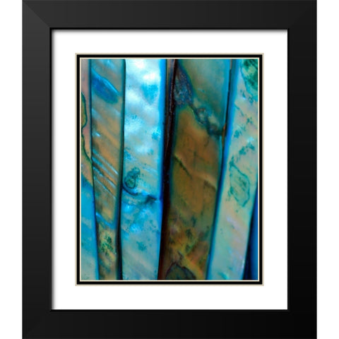 Shell Be Blue II Black Modern Wood Framed Art Print with Double Matting by Putman, Tammy
