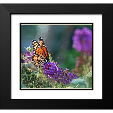 Monarch Garden II Black Modern Wood Framed Art Print with Double Matting by Putman, Tammy