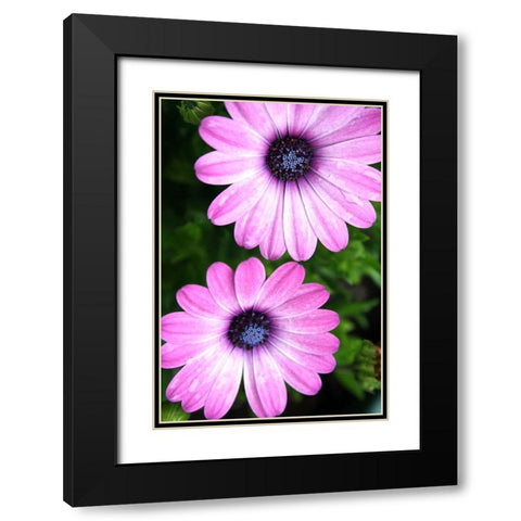 In the Middle Black Modern Wood Framed Art Print with Double Matting by Putman, Tammy