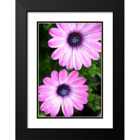 In the Middle Black Modern Wood Framed Art Print with Double Matting by Putman, Tammy