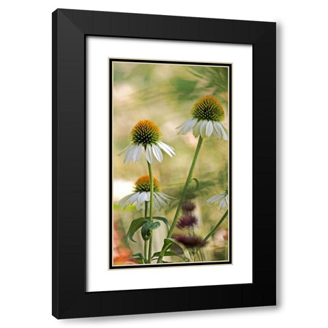White Cones II Black Modern Wood Framed Art Print with Double Matting by Putman, Tammy